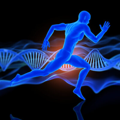 Glucosamine & Chondroitin
